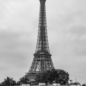 Concrete Jungle by Camille Massida Photography